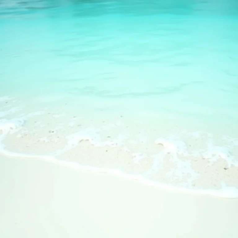 Água cristalina e areia branca em São Miguel dos Milagres