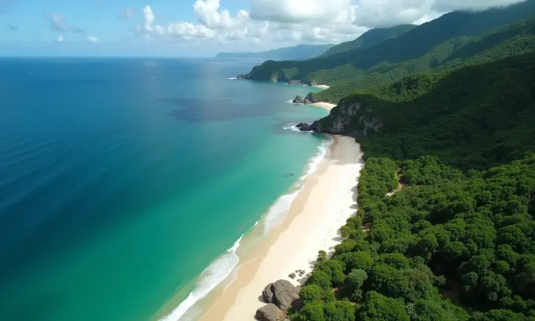 Vista aérea do litoral norte de São Paulo com praias paradisíacas.