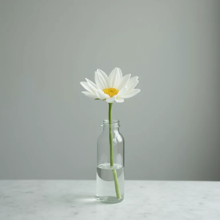 Uma única flor branca em um vaso minimalista.