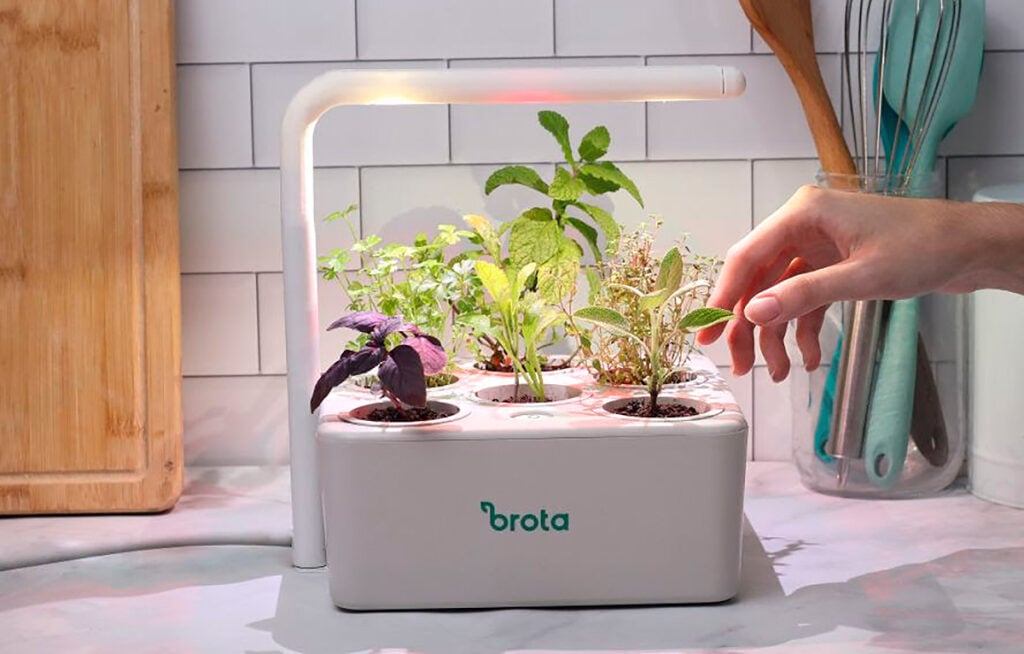 Horta Dentro de Casa com Iluminação LED: Cultivo Contínuo e Decoração Moderna - detalhe