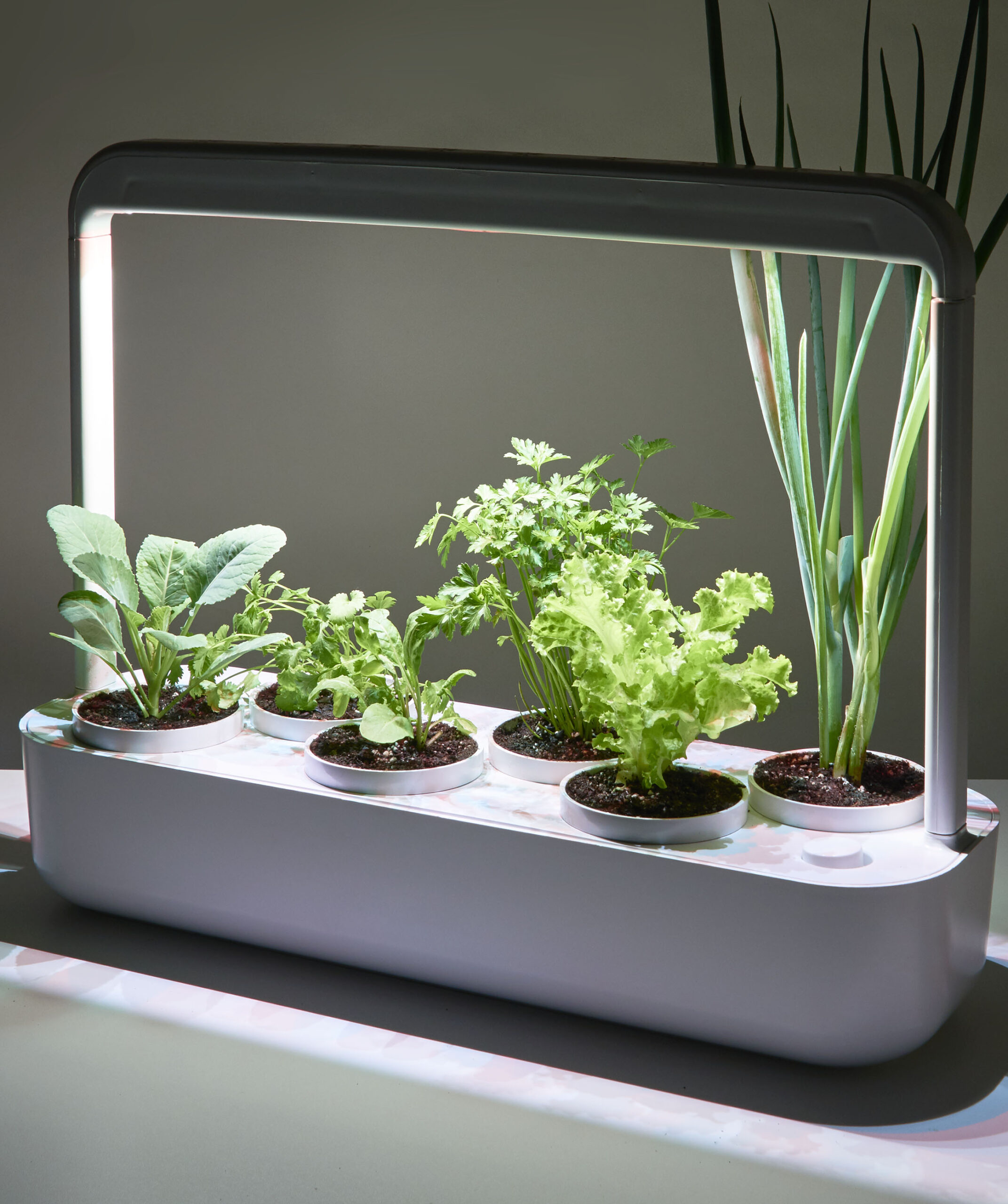 Horta Dentro de Casa com Iluminação LED: Cultivo Contínuo e Decoração Moderna - ideia