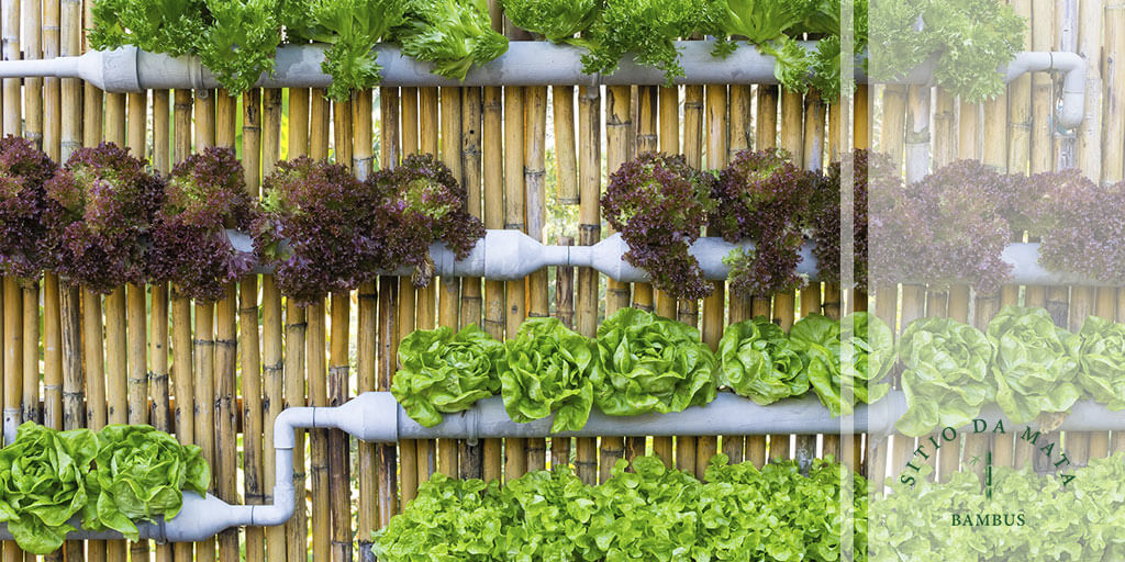 Jardineira Suspensa Feita com Calhas de PVC: Solução Inteligente e Moderna - detalhe