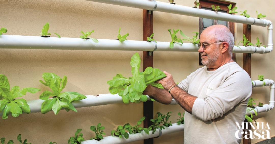 Horta Hidropônica Caseira com Garrafas PET: Sustentabilidade e Inovação - detalhe