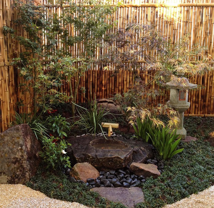 Com Cactos e Suculentas: Um Toque Desértico e Moderno - inspiração 1