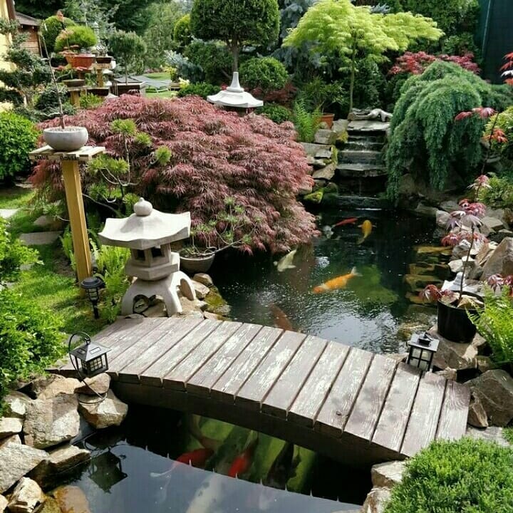 Com Cristais e Ametistas: Energias Positivas ao Seu Alcance - inspiração 2