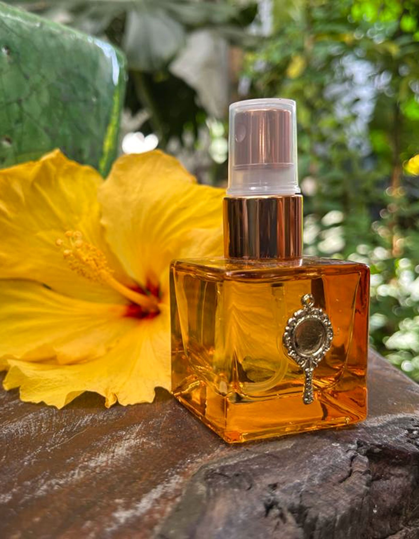 E-commerce com Consultoria Personalizada para Achar Seu Perfume Ideal - ideia