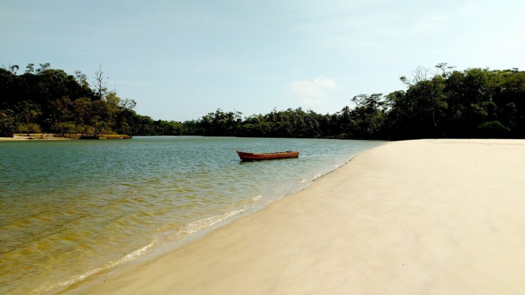 Ilha do Marajó no mapa: onde fica, cidades e como se deslocar Ilha do Marajó