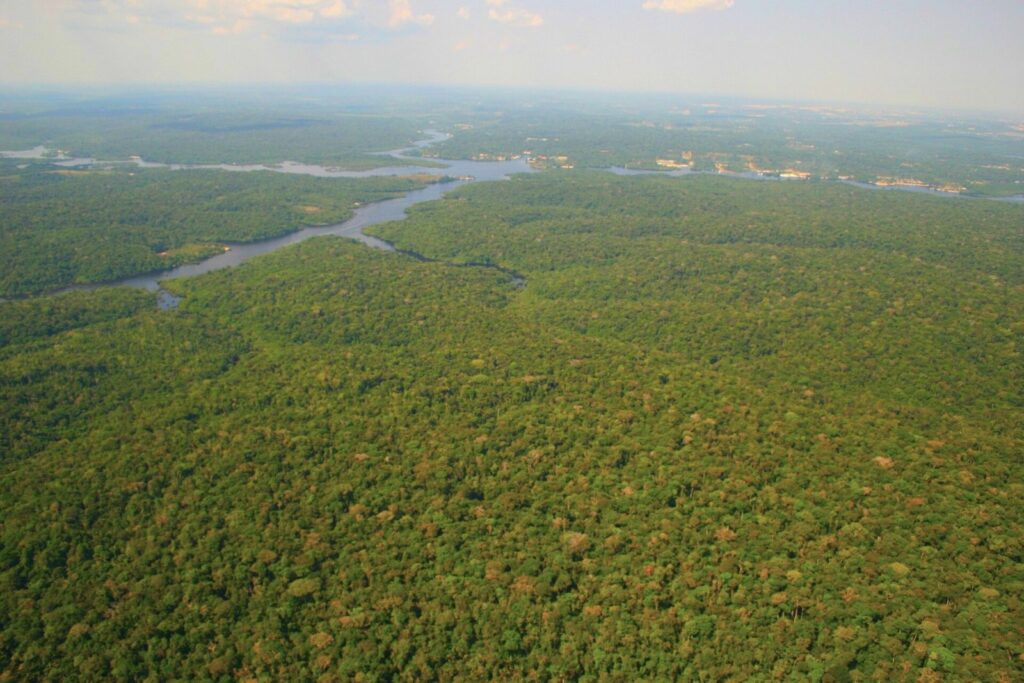 Conteúdo usa futebol para ensinar geografia, agricultura e ambiente do Brasil