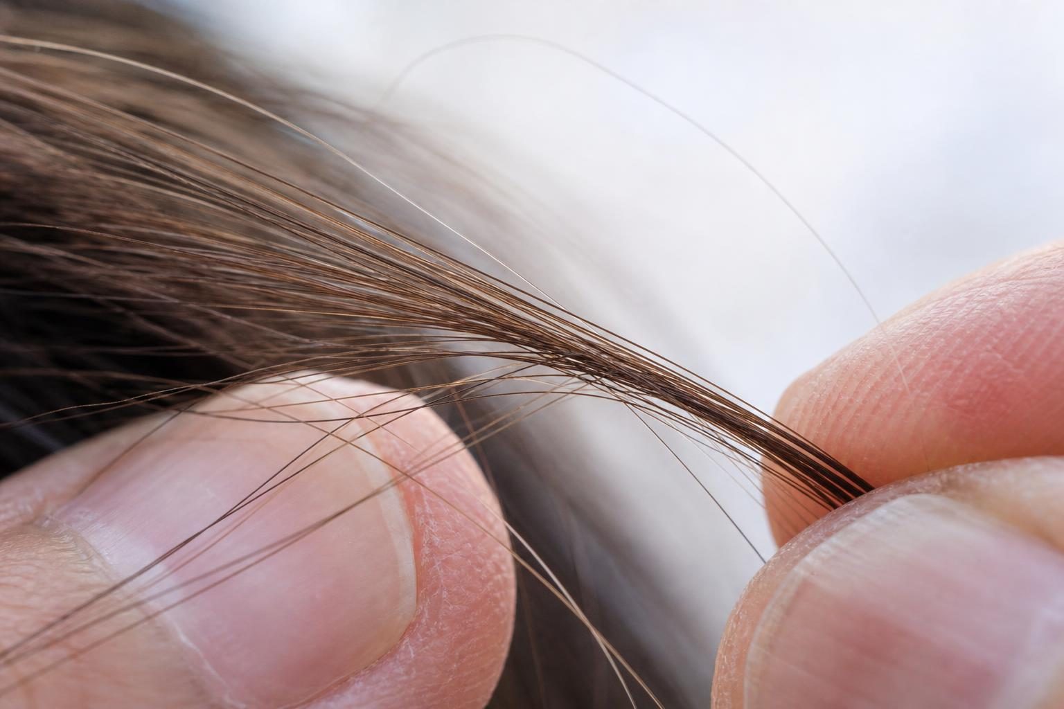 Fios de cabelo vistos de perto, mostrando a textura da haste capilar