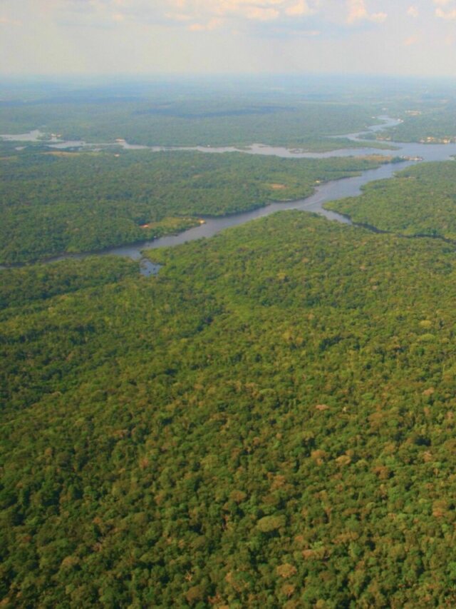 Conteúdo usa futebol para ensinar geografia, agricultura e ambiente do Brasil